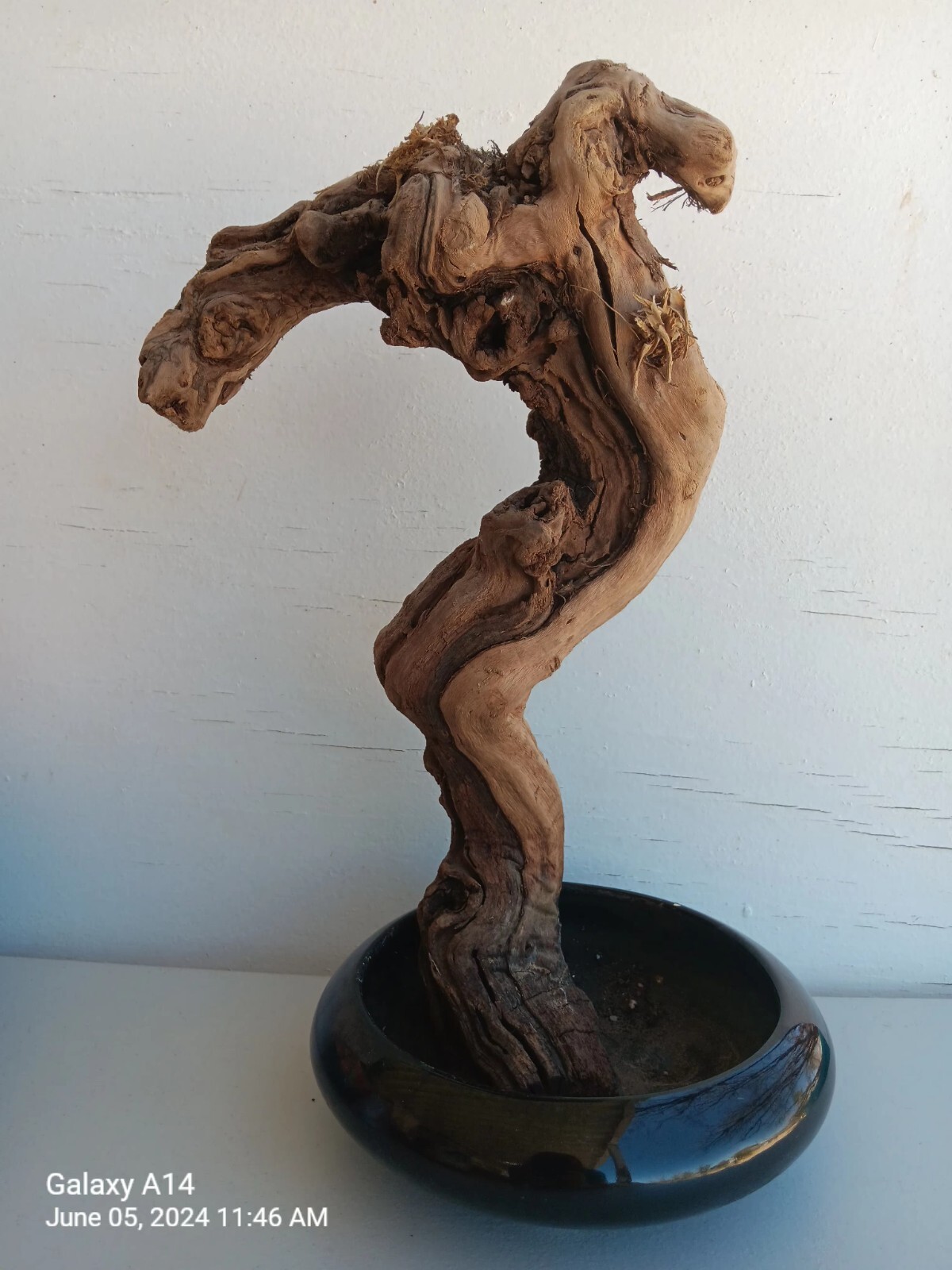 Vintage Potted Grapevine  Nature Made Crucified Jesus Serpent Crown Art Piece 