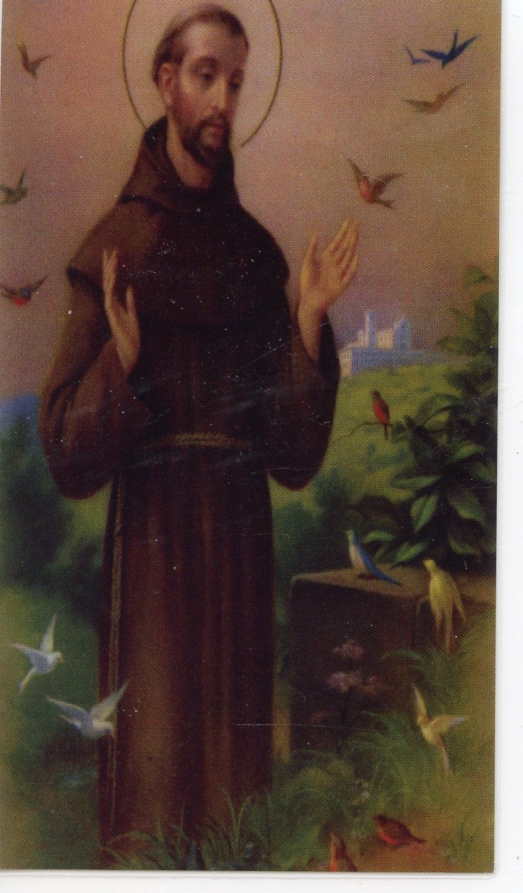 FRANCISCAN MORNING PRAYER - Laminated  Holy Cards.  QUANTITY 25 CARDS