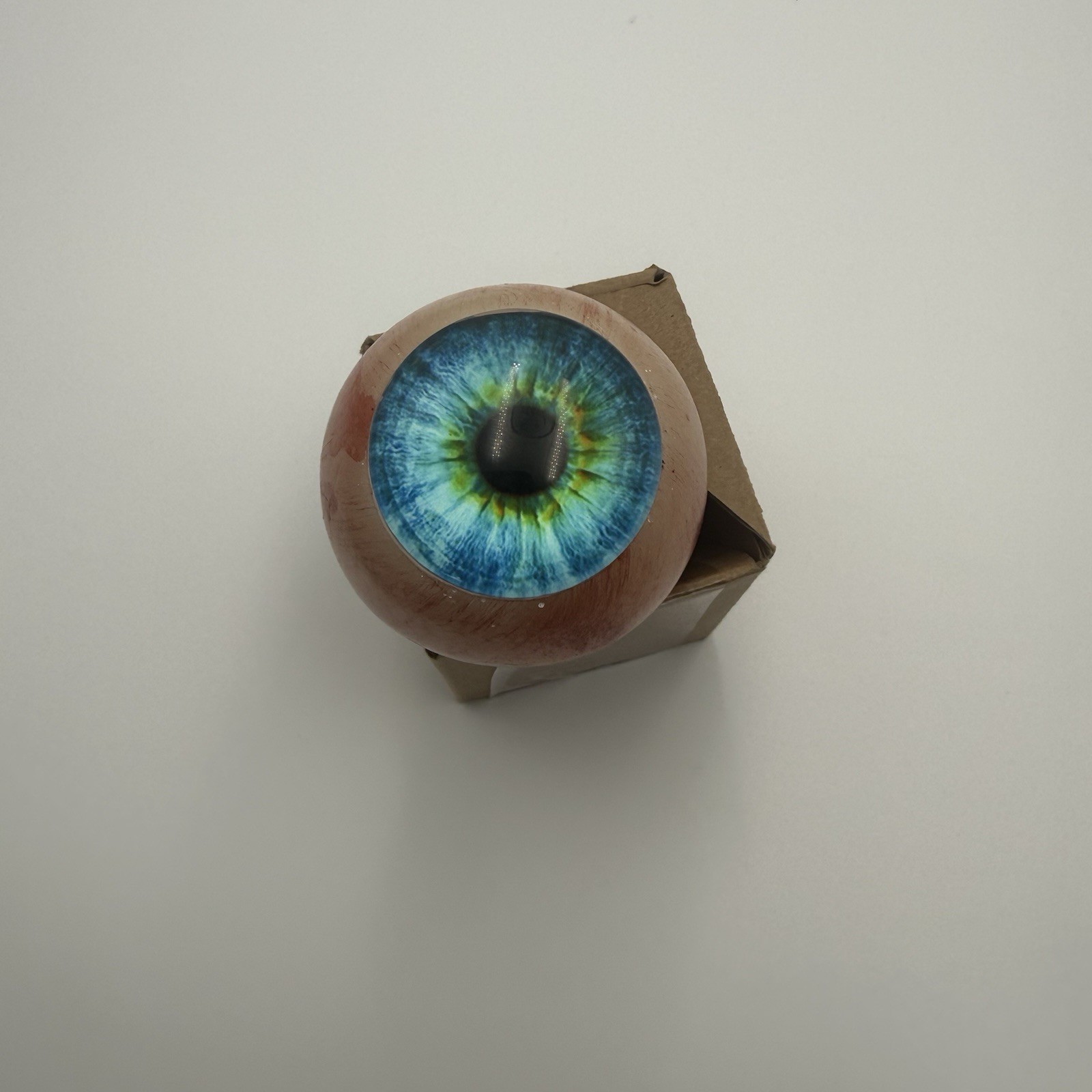 Artificial Eyeball Blue Glass Eye Oddity Display 2 Inch