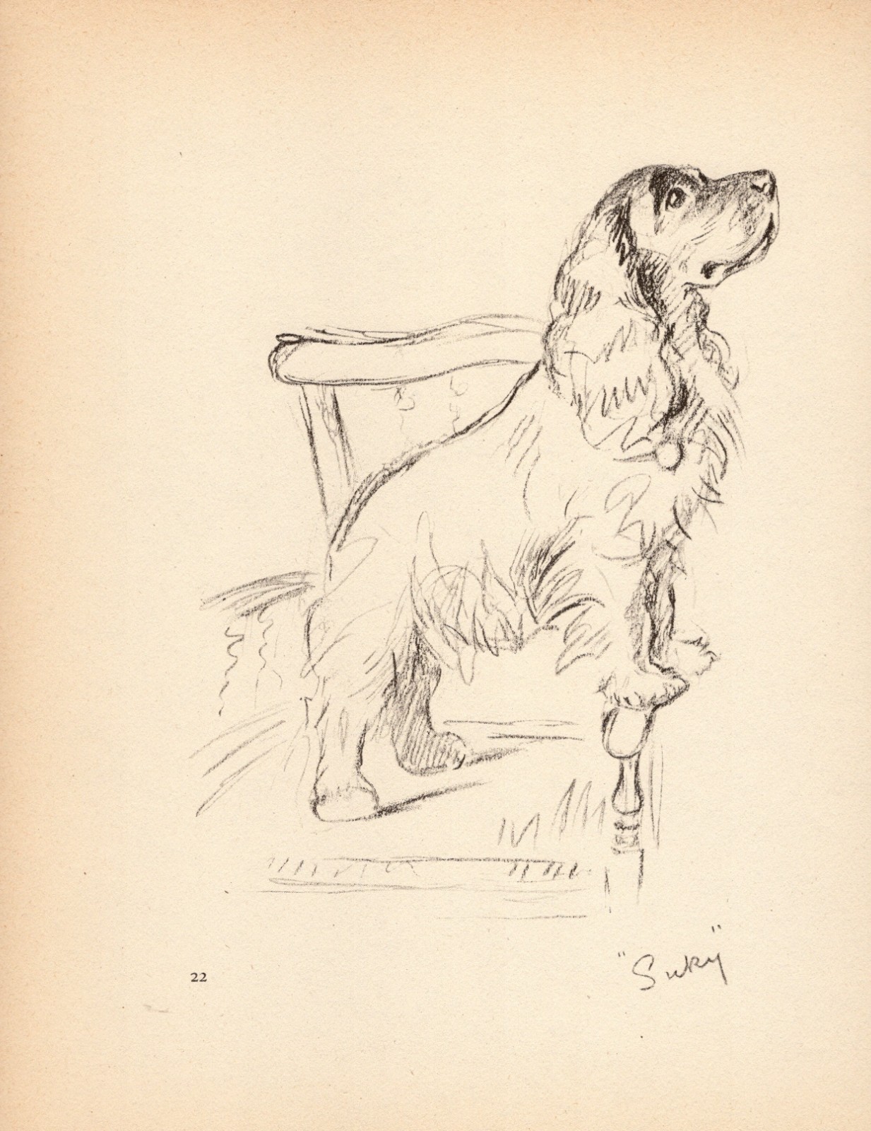 Vintage Lucy Dawson Cocker Spaniel Print Wall Art Decor 1940s Dog Art 7117m