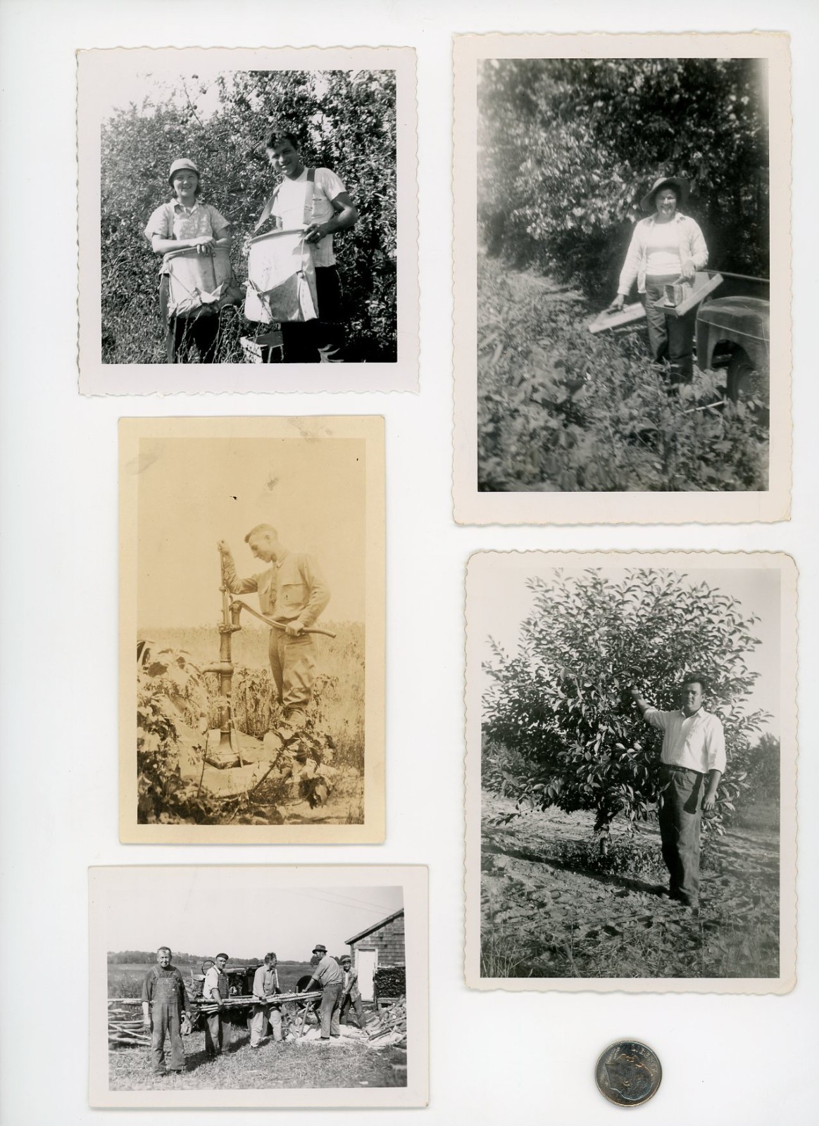 (10) Vintage photo lot / FARMERS Working - Harvesting Crops WATER PUMP Buckets