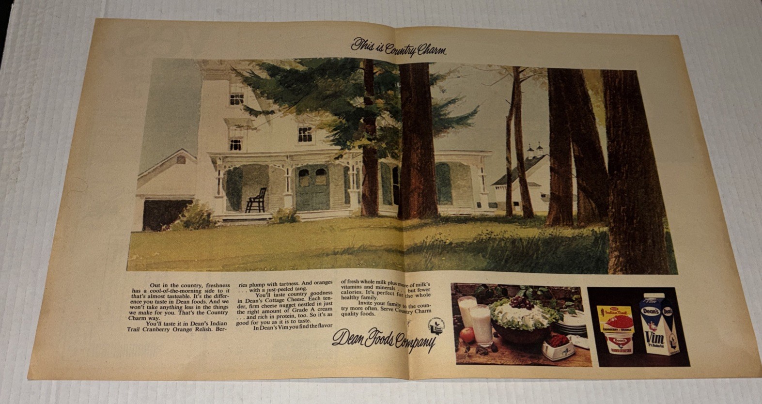 Vintage 1969 Deans Foods Vim Milk Country Charm Art Glass Dairy Print Ad Lark Vintage 1969 Deans Foods Vim Milk Country Charm Art Glass Dairy Print Ad Lark