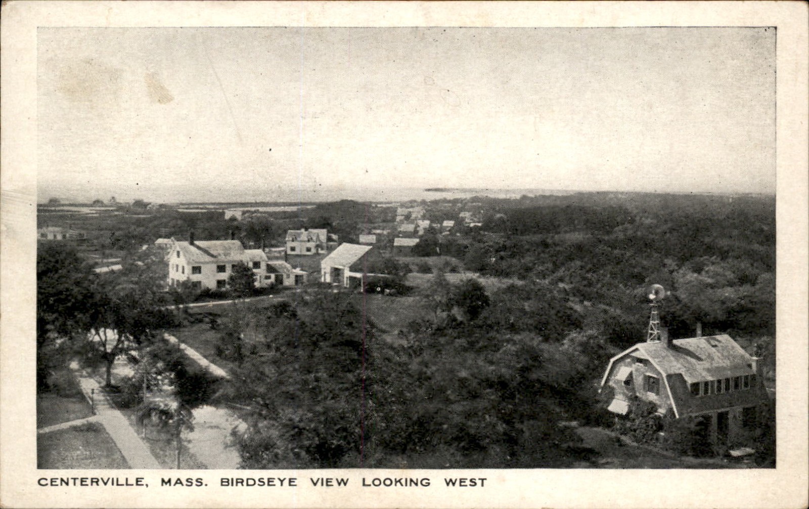 Centerville MA Birdseye View The Commercial Print. c1910s Vintage Postcard