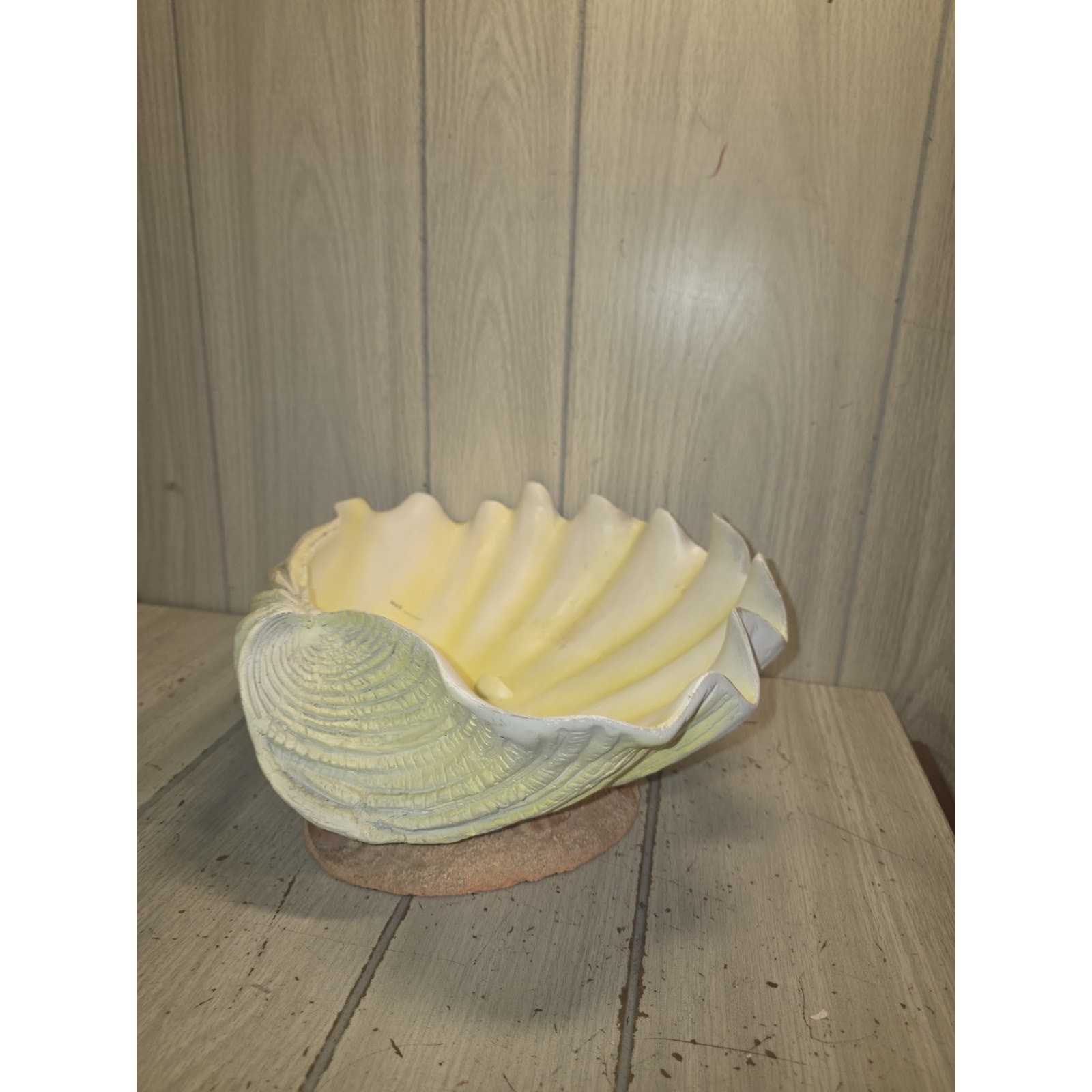 Vtg Large Giant Clam Shell Bowl 10x13 Natural White Seashell Beach Coastal READ Vtg Large Giant Clam Shell Bowl 10x13 Natural White Seashell Beach Coastal READ