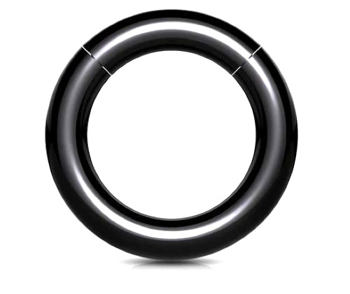 1- 8g 1/2 Snap Fit Black Seamless Segment Lightweight Prince Albert Scrotum Ring 1- 8g 1/2 Snap Fit Black Seamless Segment Lightweight Prince Albert Scrotum Ring