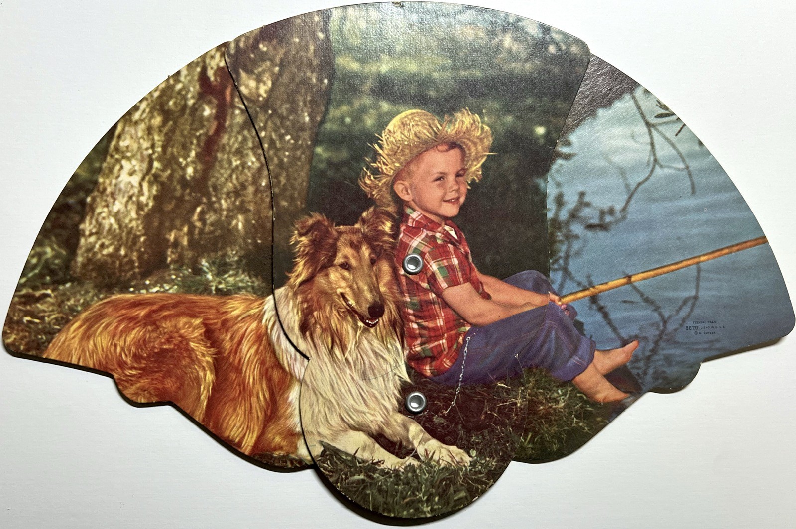 1950 ODGEN VAN ASSEN FUNERAL HOME ADVERTISING FAN COLLIE DOG ELIZABETH NJ MAINE