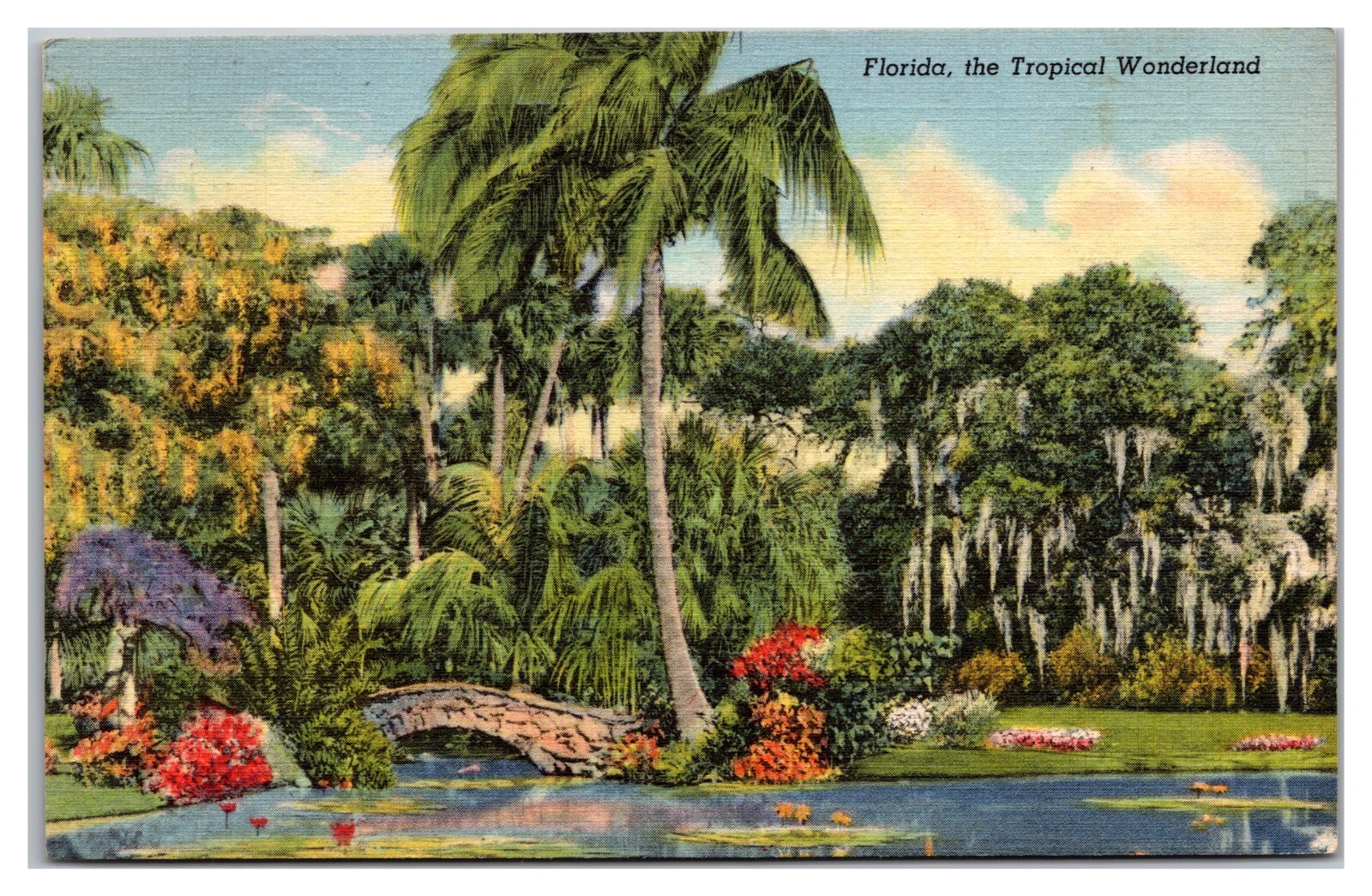 Florida, The Tropical Wonderland