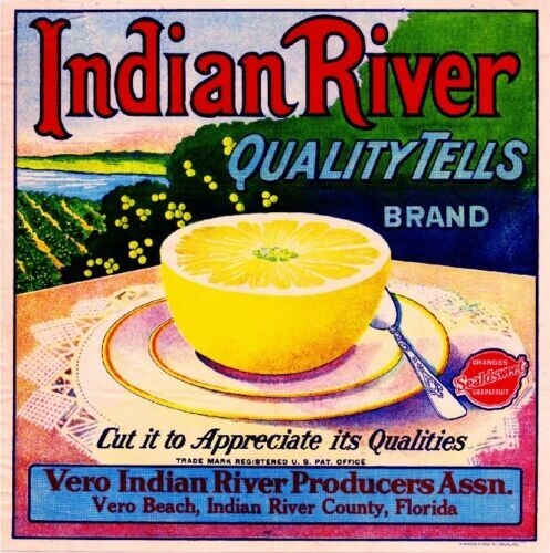Indian River Grapefruit Vero Beach Florida Citrus Fruit Crate Label Art Print