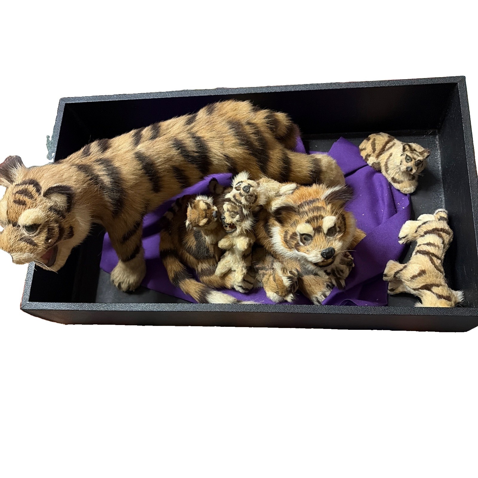 VTG Real Fur Faux Taxidermy Tiger Set Of 9 Mother Cubs Lrg Sm Rep China Figures VTG Real Fur Faux Taxidermy Tiger Set Of 9 Mother Cubs Lrg Sm Rep China Figures