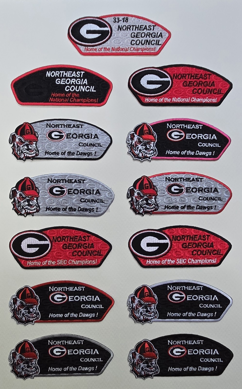 Boy Scout Northeast Georgia Council Bulldog 13 Patch CSP Set LOT Champions