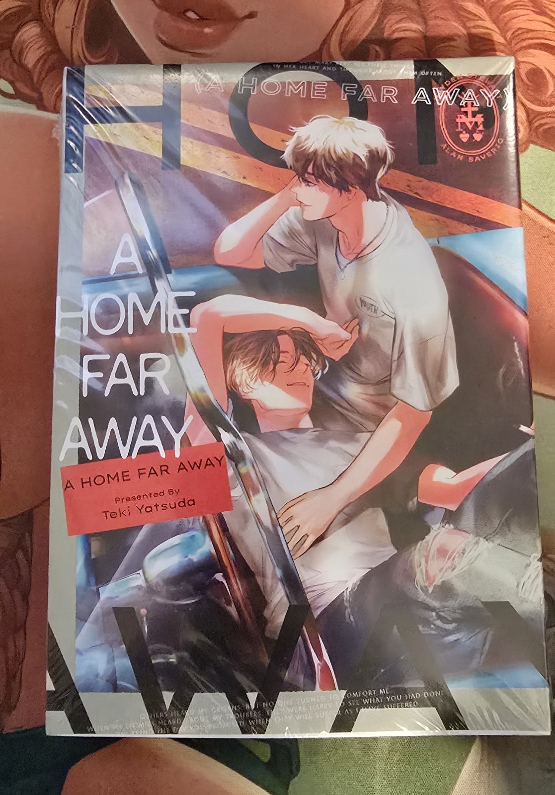 Home Far Away Manga (English) 