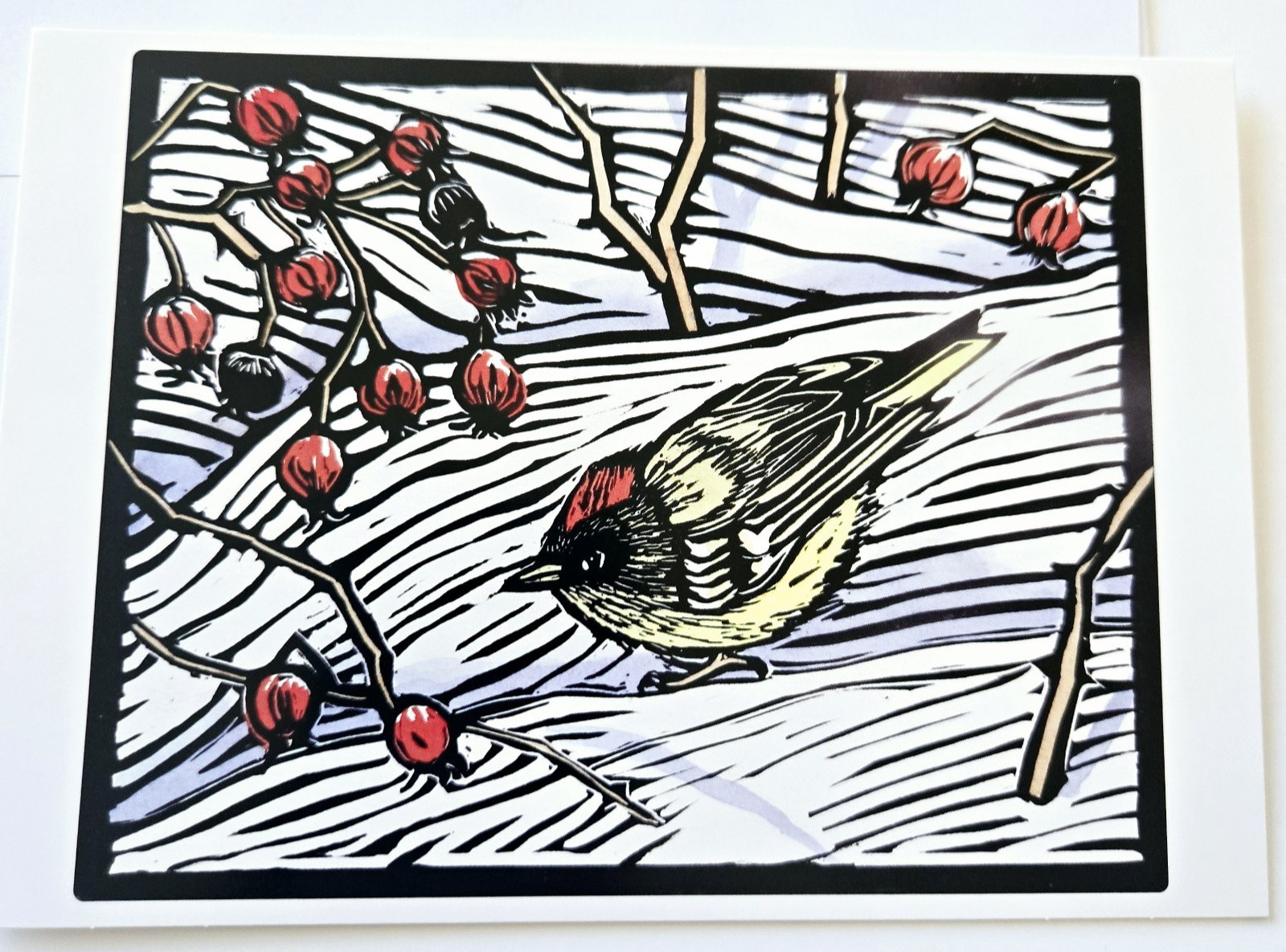 Christmas Card Molly Hashimoto Bird Ruby Crowned Kinglet and Wild Rosehips