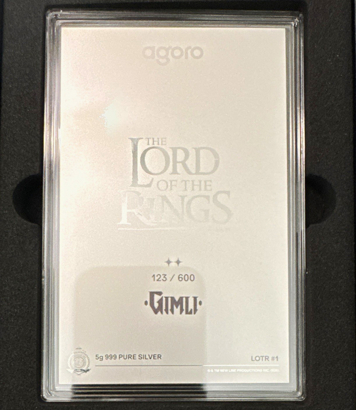 Agoro The Lord of the Rings Guardians of the Fellowship Precious Metal Blind Box