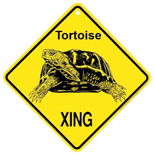 Tortoise Crossing Xing Sign New Turtle  14 3/8 x 14 3/8