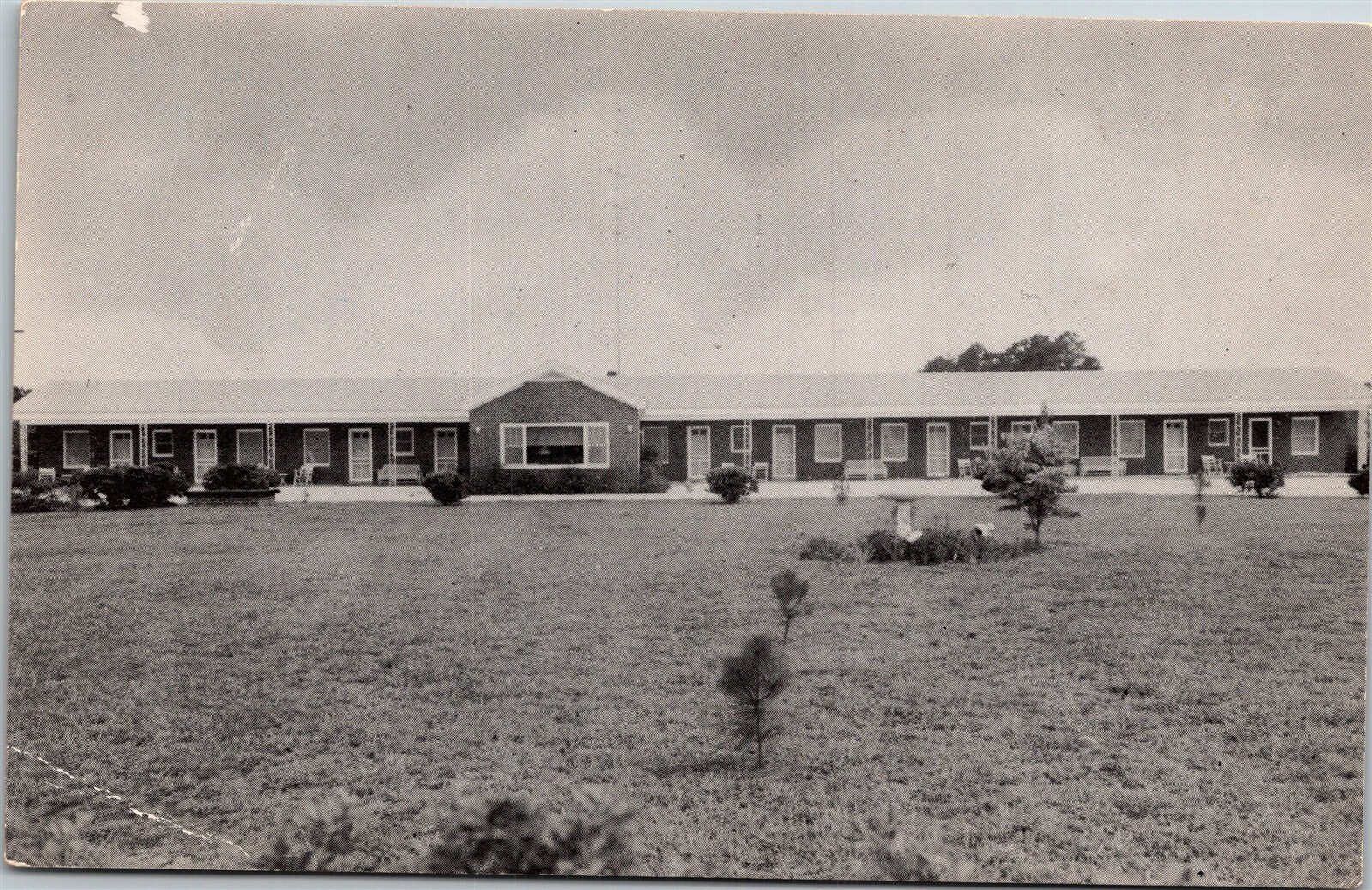 Postcard South Carolina Olanta Motel Route 301 Roadside Dexter Press 1956 V59