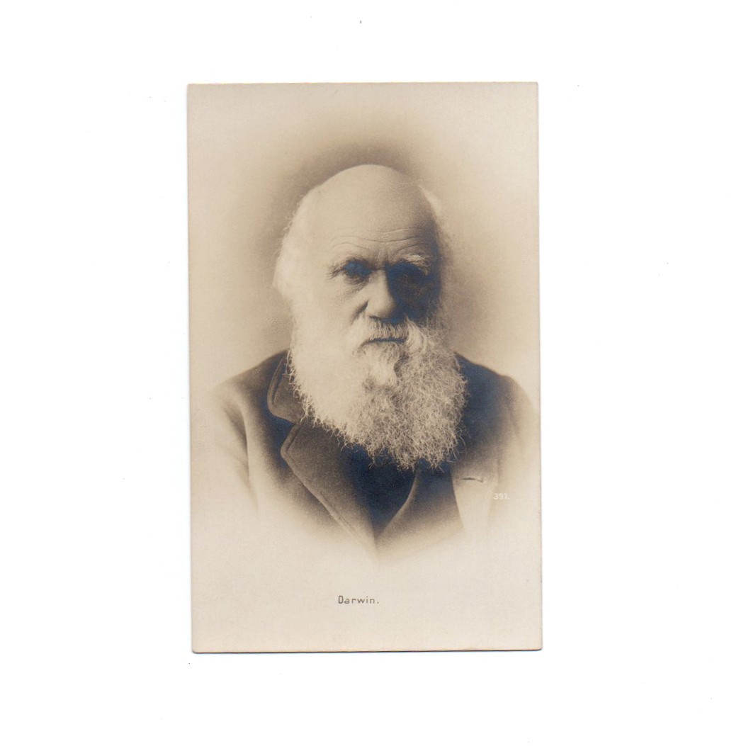 C19th Vintage Postcard | Charles Darwin Geologist Biologist Evulotion Theory
