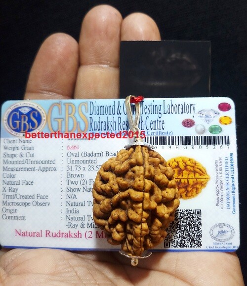 2 Mukhi Two Face Rudraksha Rudraksh 925 Sterling Silver Pendant Lab Certified