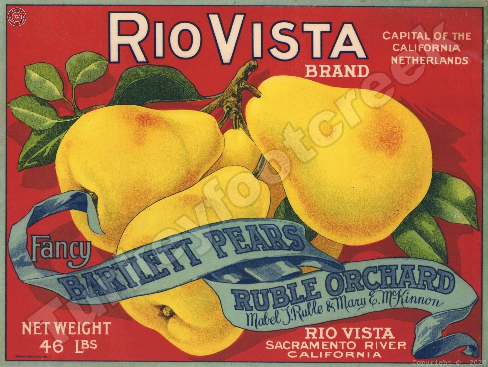 Rio Vista Brand Bartlett Pears Label 9\