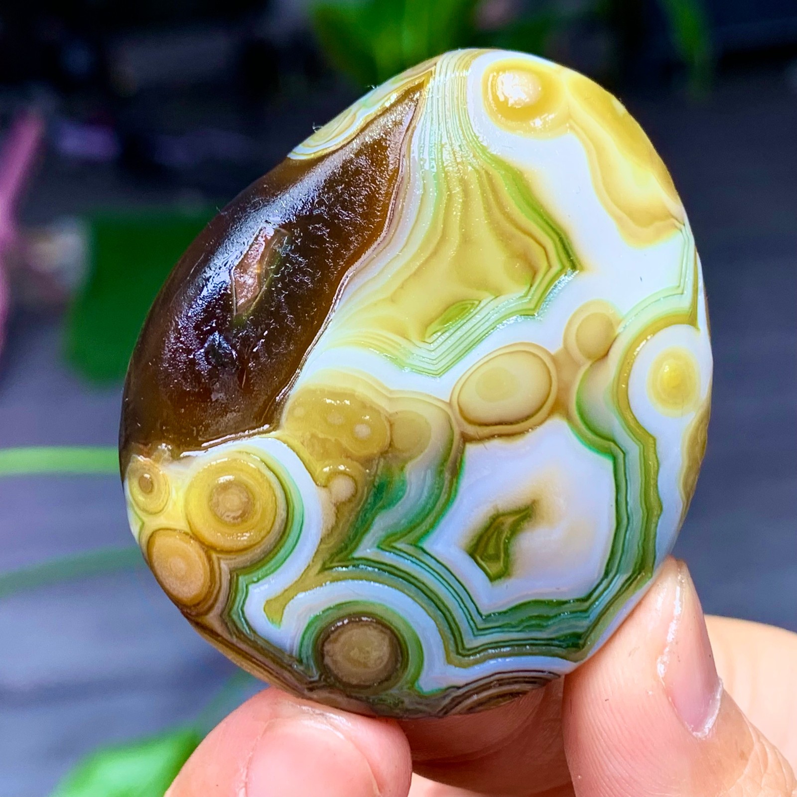 44G Rare Natural Gobi Agate Eye Agate/Crystal PalmStone Madagascar