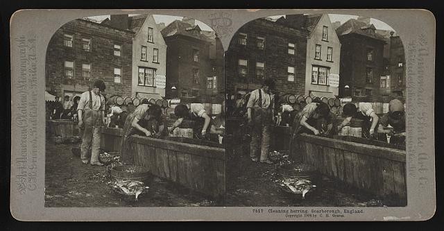 Photo:Scarborough England 1904 Herring Cleaning Fish Market Workers