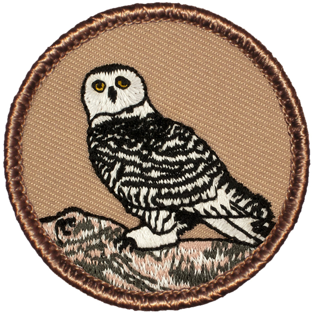 Cool Boy Scout Patrol Patch - #721 The Snowy Owl Patrol