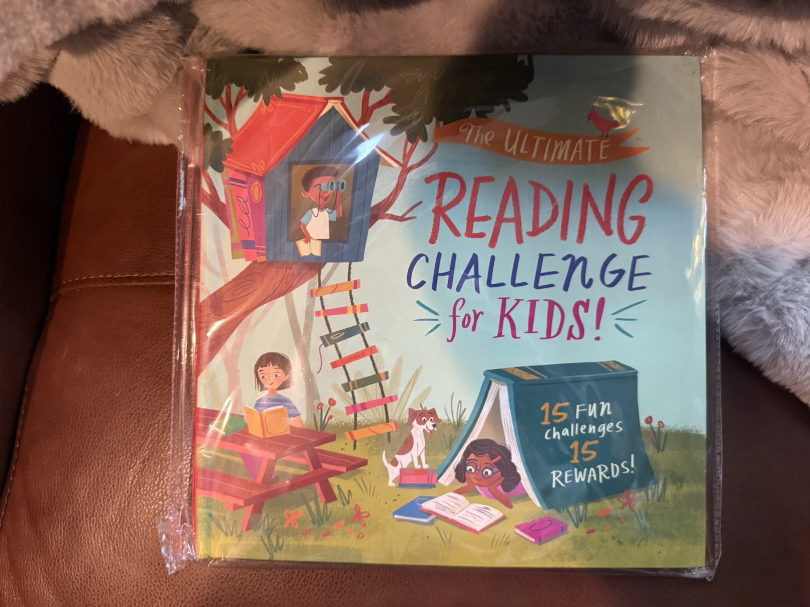 The Ultimate Reading Challenge for Kids: Complete a Goal, Open an Envelope The Ultimate Reading Challenge for Kids: Complete a Goal, Open an Envelope