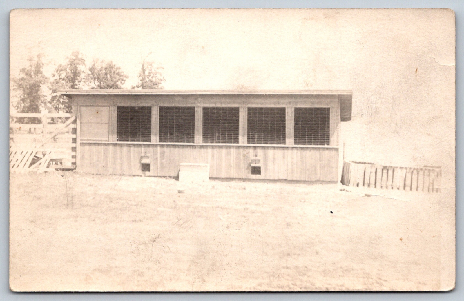 Vintage Farm Chicken Coop Barn Rural Scene Real Photo Postcard RPPC
