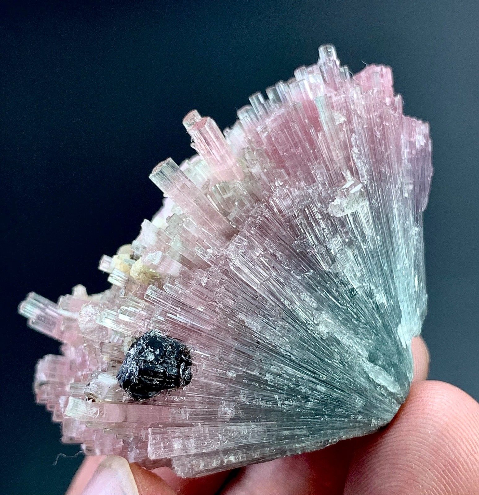 Bi Colour Tourmaline Crystal From Afghanistan 250 Carat