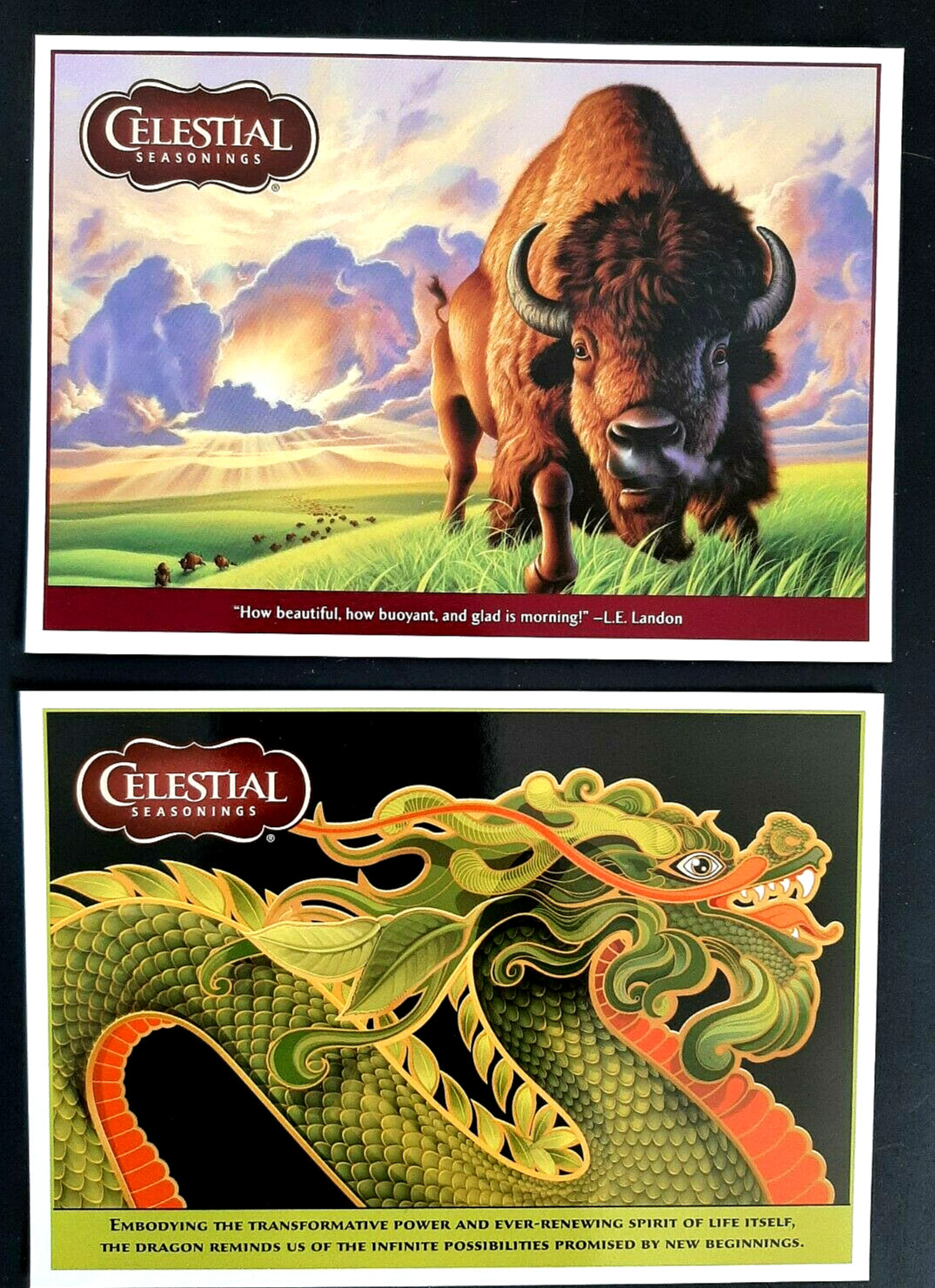 CELESTIAL SEASONINGS Post Cards-Morning Thunder & Authentic Green-10 total cards CELESTIAL SEASONINGS Post Cards-Morning Thunder & Authentic Green-10 total cards
