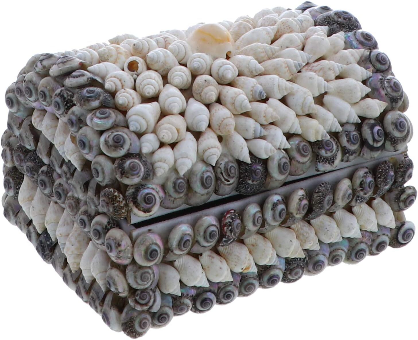 Li\'Shay Nassa Shell Dome Trinket Box-White
