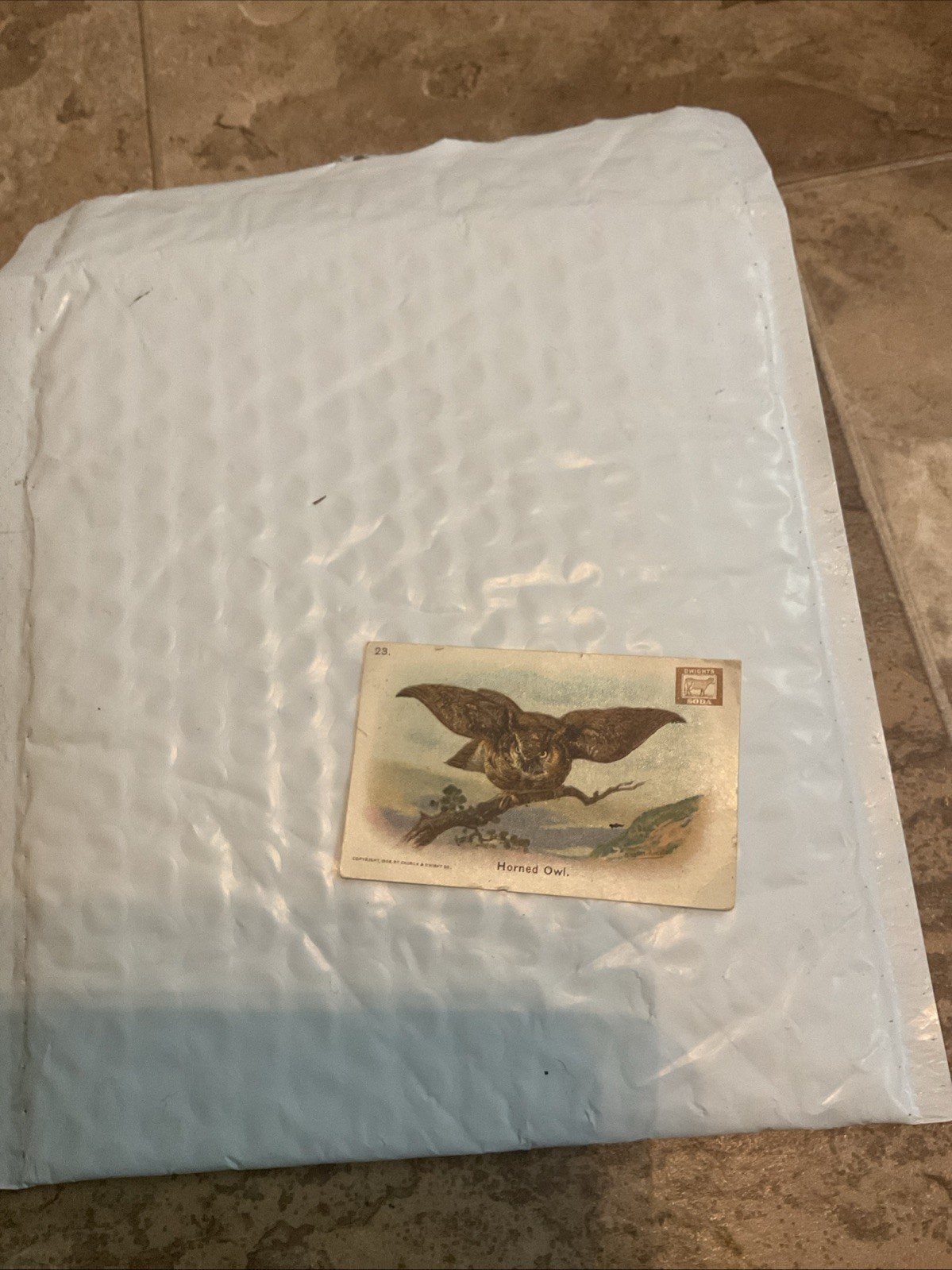 Antique Vintage Horned Owl Series of Birds Dwight\'s Soda #23 1908 Trading Card