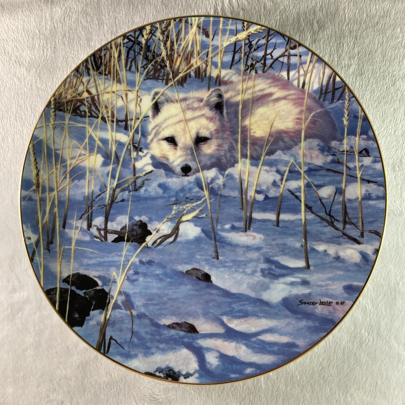 LYING IN WAIT Plate Winter Wildlife Seerey-Lester Arctic White Fox Hamilton Coll