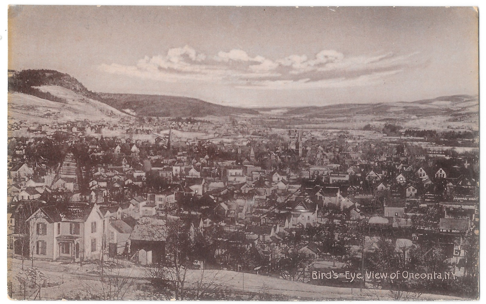 Bird\'s Eye View of Oneonta NY New York c1910 Printed Germany Postcard