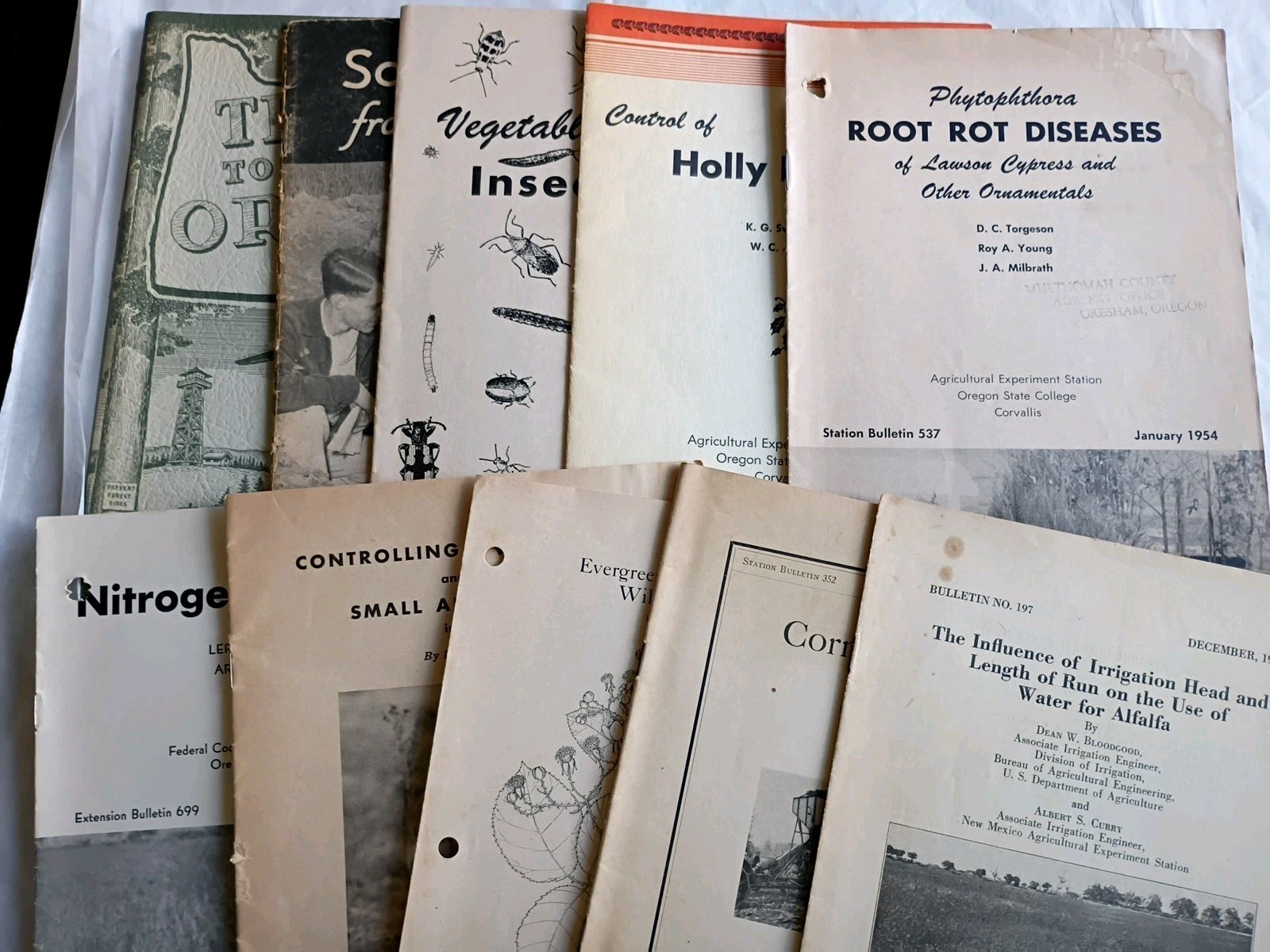 Lot Of 10 Vtg Oregon State College Bulletins Soil, Crops, Insects, Etc (971) Lot Of 10 Vtg Oregon State College Bulletins Soil, Crops, Insects, Etc (971)