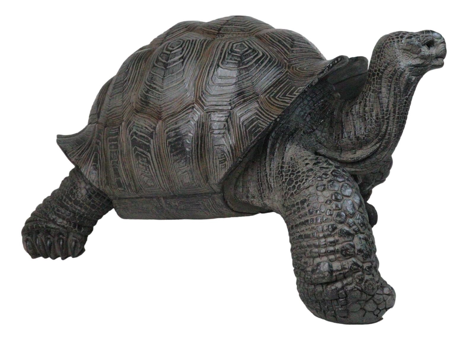 Realistic Marine Lifelike Galapagos Giant Tortoise Turtle Large Statue 18