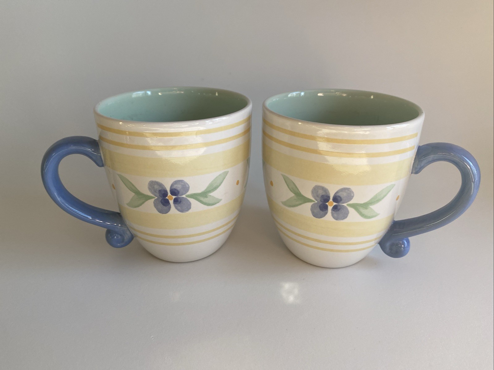 SET OF 2 Pfaltzgraff SUMMER BREEZE 16-oz Coffee Mugs Cups; Excellent