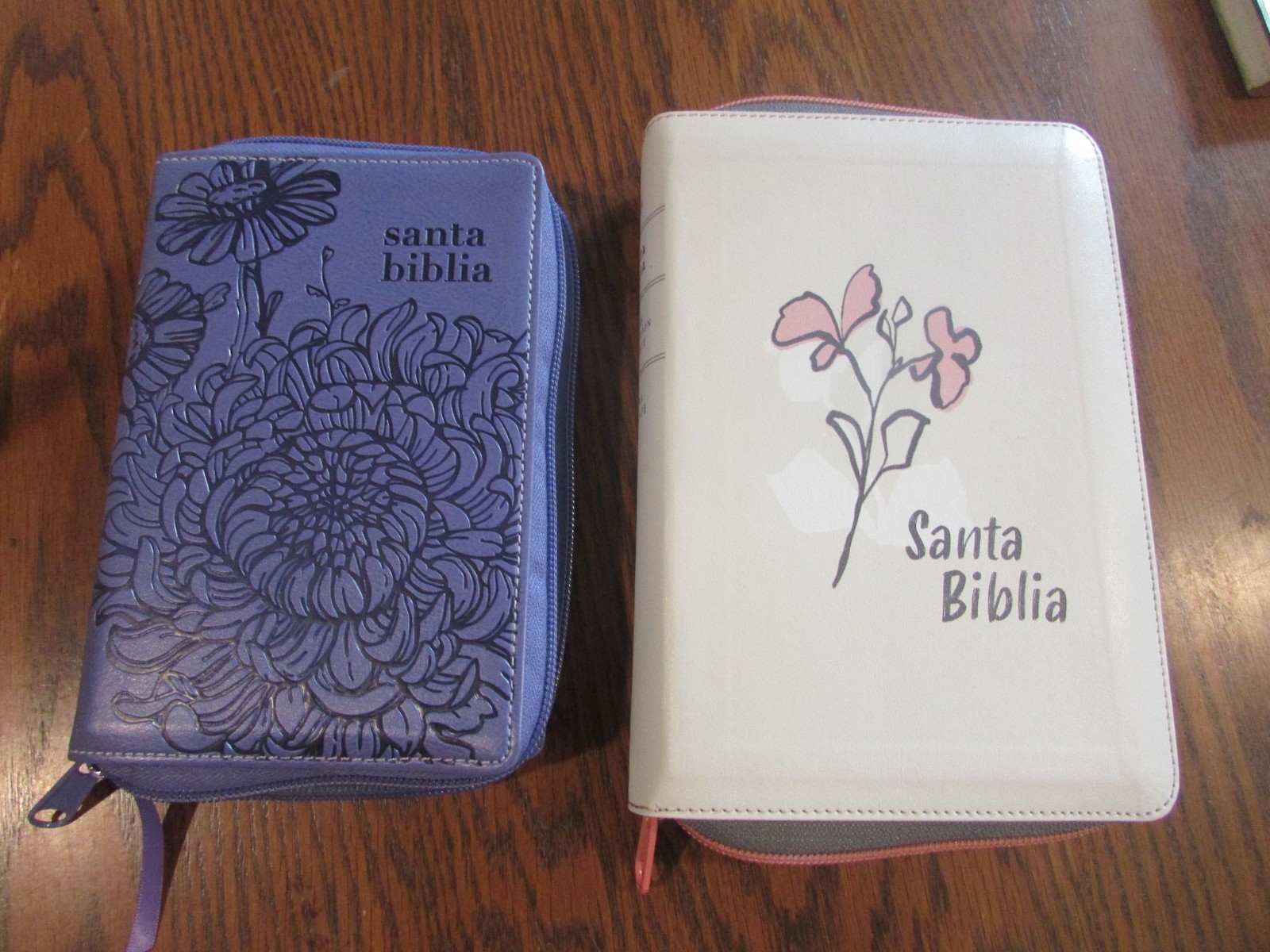 (2) Santa Biblia Spanish Language Bibles