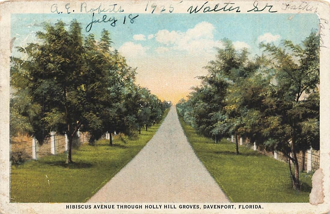 c1920s Hibiscus Avenue Holly Hill Groves Davenport Florida FL  P393