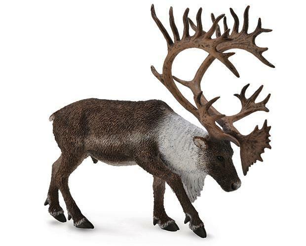 CollectA NEW * Woodland Caribou *  88709 Wildlife Model Breyer Toy Figurine