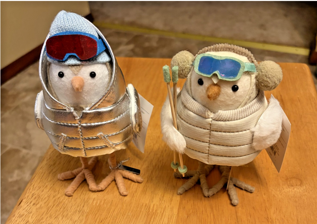 Target Wondershop Featherly Skiing Friends Chill & Ray Winter Birds 2026