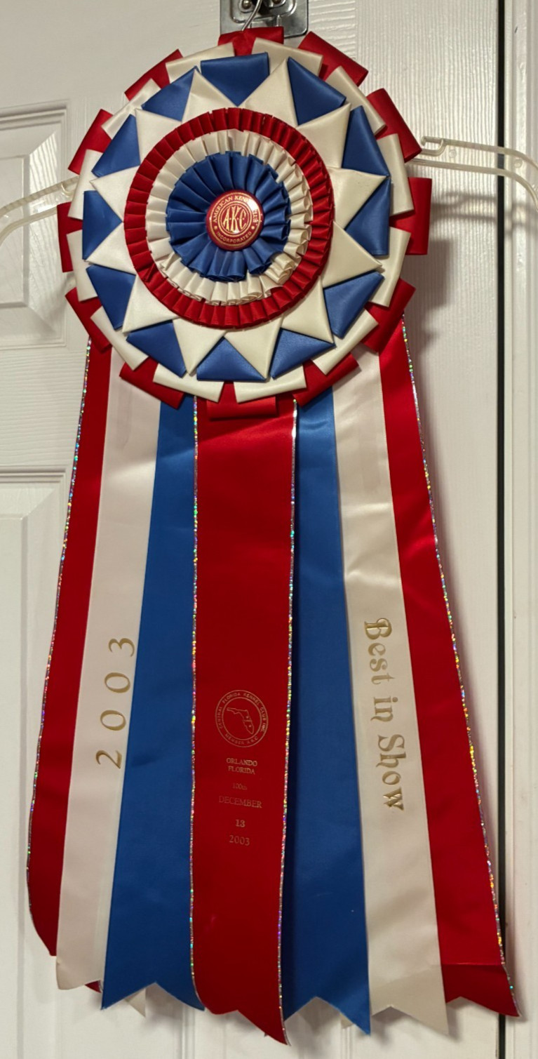 VINTAGE AMERICAN KENNEL CLUB AKC BEST IN SHOW RIBBON ROSETTE 28 \