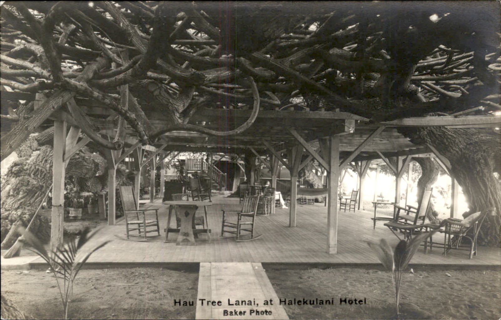 Honolulu HI Hotel Lanai Baker Photo c1910s-20s Real Photo Vintage Postcard bhn