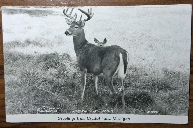 Crystal Falls, Michigan Real Photo Postcard