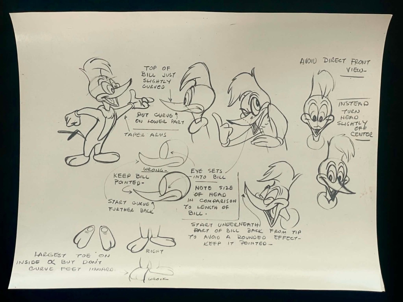 Original 1950s Walter Lantz Woody Woodpecker Model Sheet Photostat 10x12 Original 1950s Walter Lantz Woody Woodpecker Model Sheet Photostat 10x12
