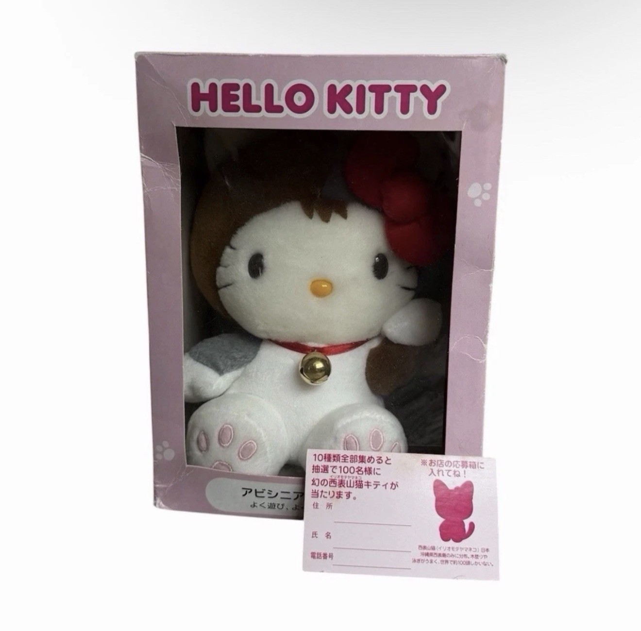 Vintage 2000 Hello Kitty Abyssinian World Cat Collection Sanrio Japan Plush Box