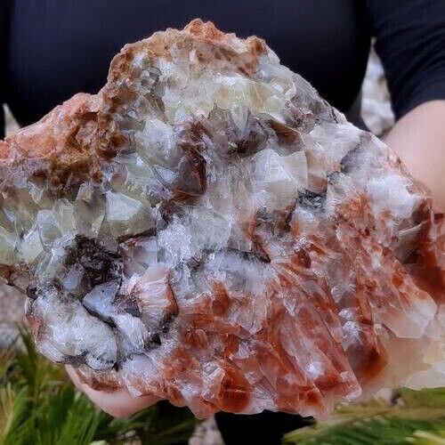 8.3 LB SPECTACULAR LARGE 8 INCH TRICOLOR BANDED CALCITE CRYSTAL - Mexico