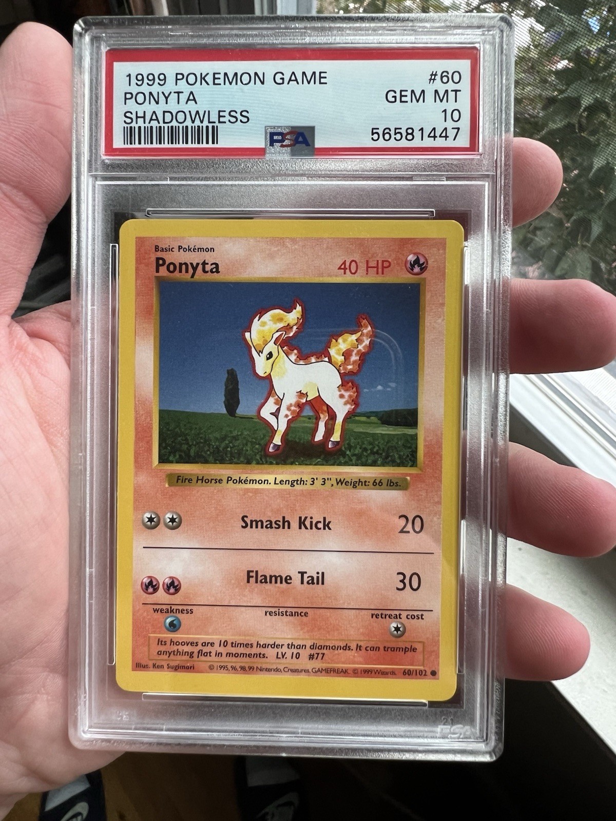 1999 Pokemon Base Set Shadowless Ponyta 60/102 PSA 10 GEM MINT