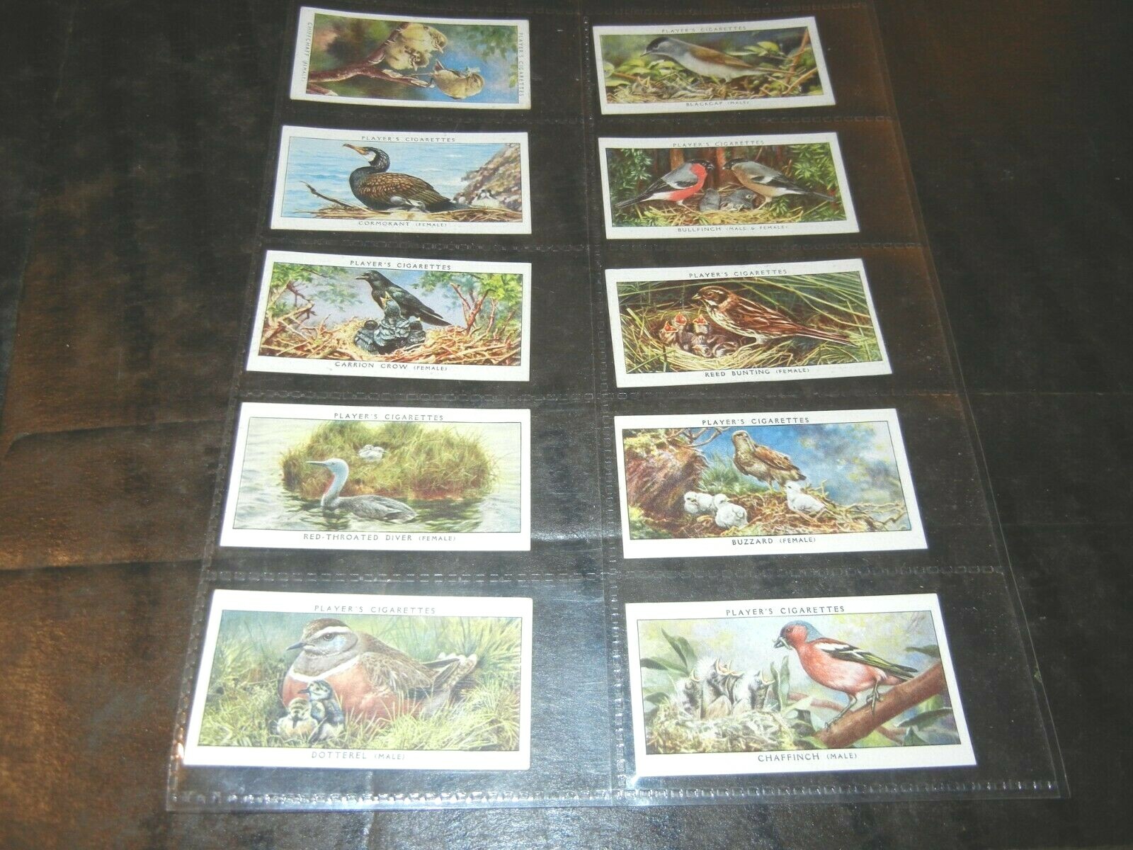 1937 John Player & Sons Birds and Their Young Complete Set of 50 Tobacco Cards 