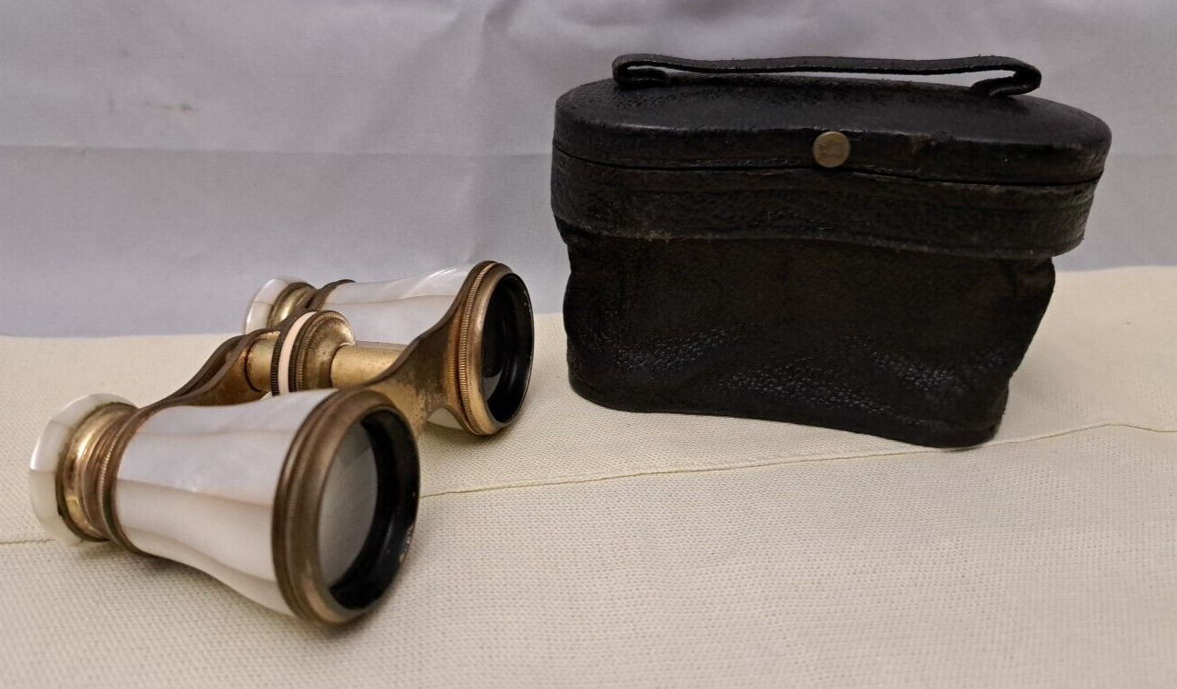 Vintage Busch Mother of Pearl and Brass Opera Glasses with Case