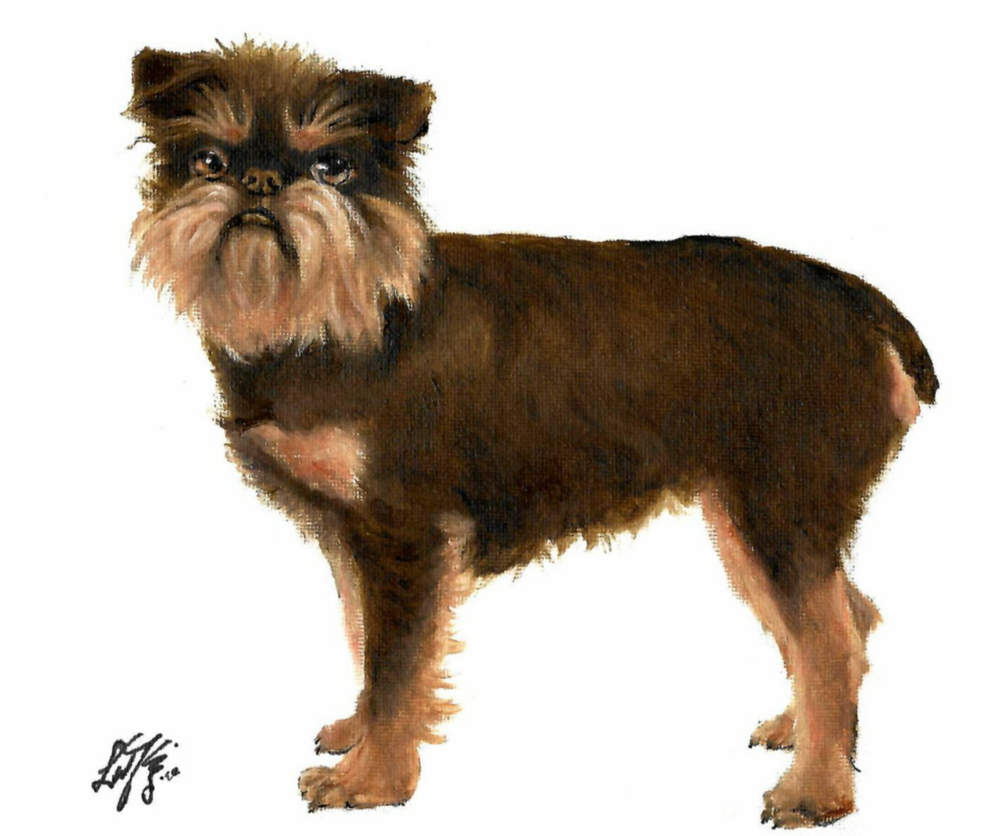 ❦ ORIGINAL Oil Dog Portrait Painting BRUSSELS GRIFFON Artist Signed Artwork 8x10